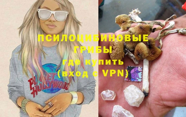 хмурый Михайлов